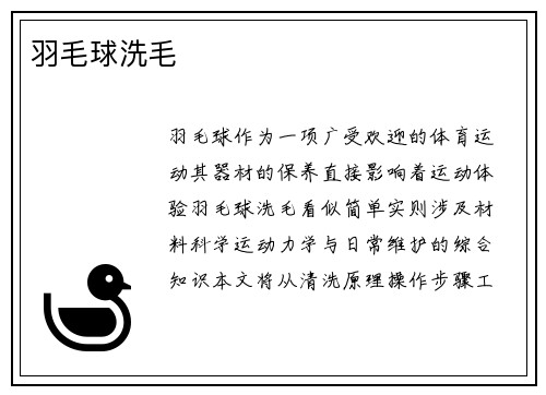 羽毛球洗毛